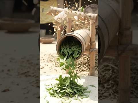 Bamboo Pipes Se Bana Neem Patte Chhatne Ka Amazing Desi Jugaad! 😱🌿