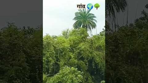 kitni door hai o chandan tora gaon ho #gaon #desi #viral #trending #youtube