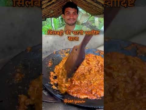 सिलबट्टे की चटनी स्वादिष्ट 🥱||🔥#youtubeshorts #desi #cooking @Ontipsww