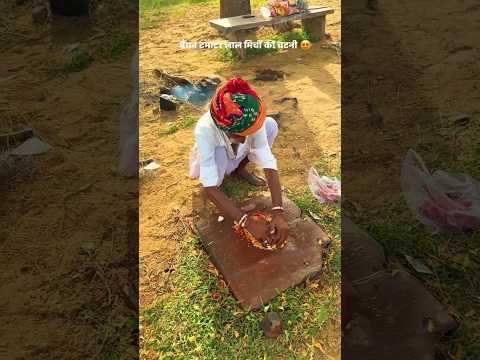 बेंगन टमाटर मिर्च की चटनी 😍 #food #desi #youtubeshorts #villagelife #trending #shortvideo #viral