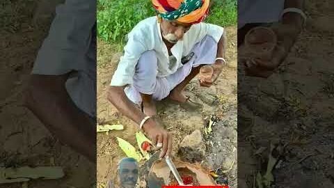 Rajasthani desi dada ki chtni #viral #trending#travel #shorts #short #viral #youtubeshorts #desi