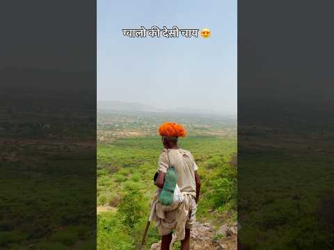सुबह की चाय 😍 #desi #culture #village #viralvideo