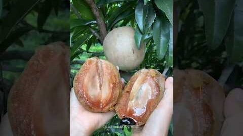 10 Magical Desi Fruits That Will Completely Transform Your Body! 🌿✨
