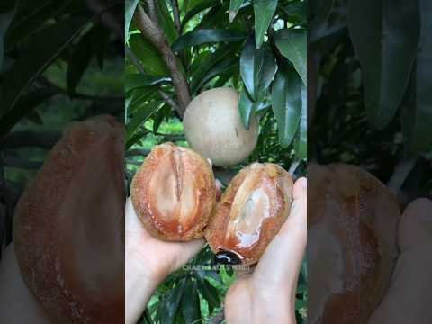 10 Magical Desi Fruits That Will Completely Transform Your Body! 🌿✨