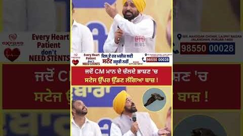 ਜਦੋਂ CM Bhagwant Mann ਦੇ ਚੱਲਦੇ ਭਾਸ਼ਣ ‘ਚ ਸਟੇਜ ਉੱਪਰ ਉੱਡਣ ਲੱਗਿਆ ਬਾਜ਼ ! | Sukhbir Badal | GTC News