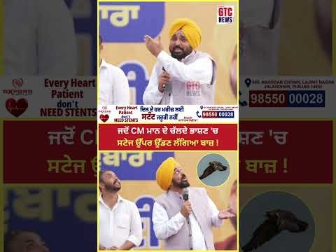 ਜਦੋਂ CM Bhagwant Mann ਦੇ ਚੱਲਦੇ ਭਾਸ਼ਣ ‘ਚ ਸਟੇਜ ਉੱਪਰ ਉੱਡਣ ਲੱਗਿਆ ਬਾਜ਼ ! | Sukhbir Badal | GTC News