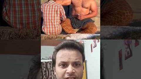 asli body ye hai #motivational #hardwork #desi #bodybuilder #fitness #natural