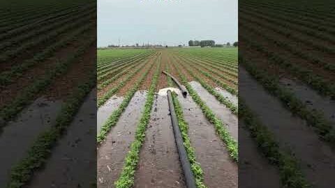 Amazing  Dise Jugaad by Farming #Desi #Jugaad #Jugad #Farming#Kheti #Khetibadi #Agriculture #Tractor