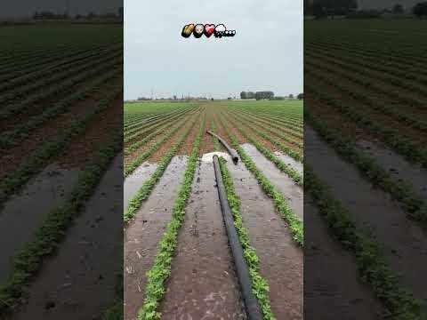 Amazing  Dise Jugaad by Farming #Desi #Jugaad #Jugad #Farming#Kheti #Khetibadi #Agriculture #Tractor