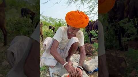 लहसुन की देसी चटनी 😍 #villagelife #desi #rajasthani #culture #viral