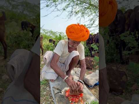 लहसुन की देसी चटनी 😍 #villagelife #desi #rajasthani #culture #viral