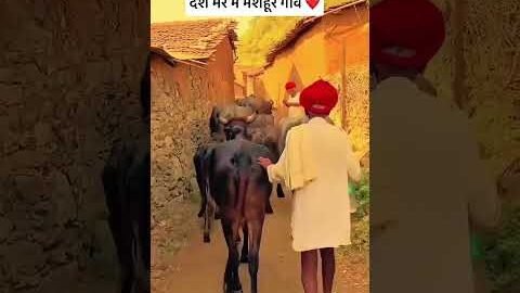 देश भर में मशहूर गाँव ❤️ #desi #ekbharatshresthbharat #desiculture #rajsthan #song #livenews