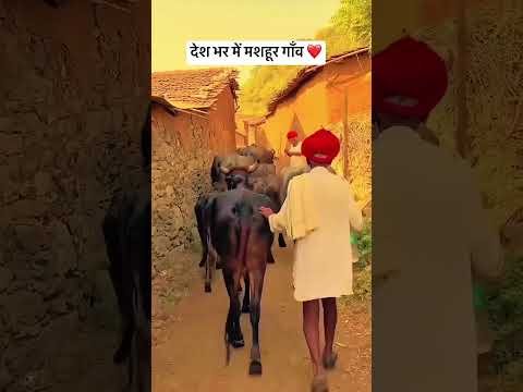देश भर में मशहूर गाँव ❤️ #desi #ekbharatshresthbharat #desiculture #rajsthan #song #livenews