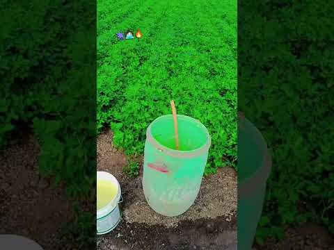 Amazing  Dise Jugaad by Farming #Desi #Jugaad #Jugad #Farming#Kheti #Khetibadi #Agriculture #water