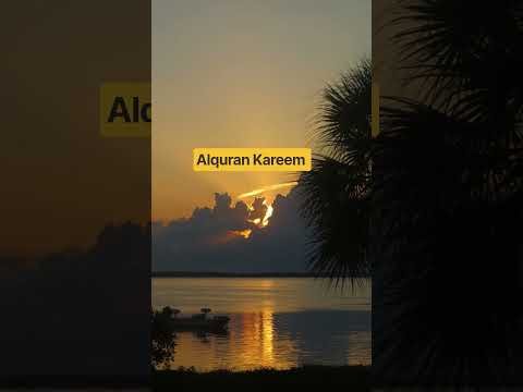 Beautiful Islamic status on Muslim 4k Islamic status  #Islam #allah #ytshort like Camnts subscribe