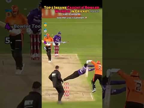 INSANE Caught & Bowled Wickets Ever🤯| Part 3 | #cricket #cricketlover #viral