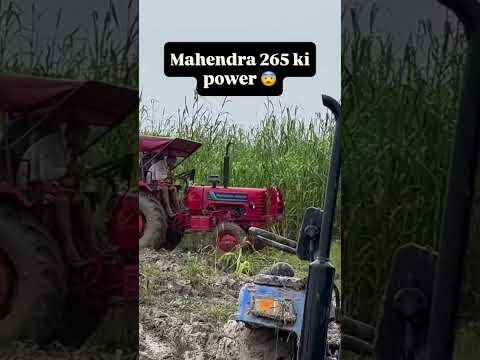 #king #of #mahindra #desi