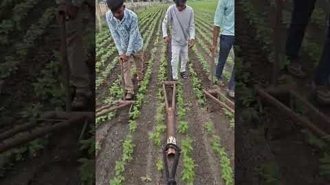 Amazing  Dise Jugaad by Farming #Desi #Jugaad #Jugad #Farming#Kheti #Khetibadi #Agriculture #Tractor