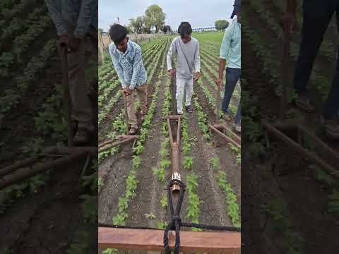Amazing  Dise Jugaad by Farming #Desi #Jugaad #Jugad #Farming#Kheti #Khetibadi #Agriculture #Tractor