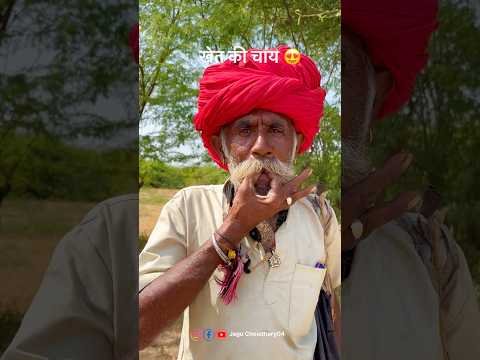 खेत की चाय #chay #khet #rajasthan #desi #shorts