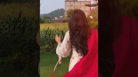Expert Jatt / Nawab / Latest Punjabi Songs 2026 / New Punjabi Song 2026 / #newpunjabisong