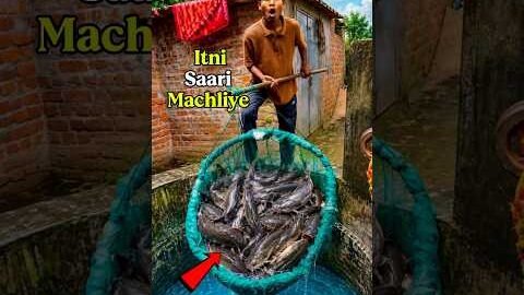 Desi jali me fasi Badi Machli 😱🐟 mini vloges #minivlog #fishing #foryou #shorts #youtube