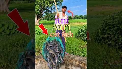 desi jugaad se pakdi Badi machhali 😱🦈 mini vlog #minivlog #shorts #fishing #foryou #trending #viral