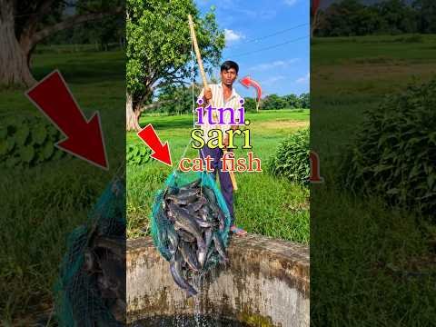 desi jugaad se pakdi Badi machhali 😱🦈 mini vlog #minivlog #shorts #fishing #foryou #trending #viral