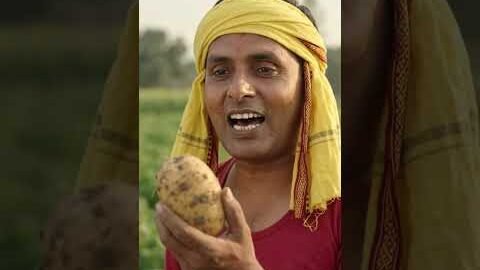 @देशी आलू 🥔🍠🔥🐂 #potato #desi #bhains #buffalo #aloo #india #kheti #agriculture #viral #shorts