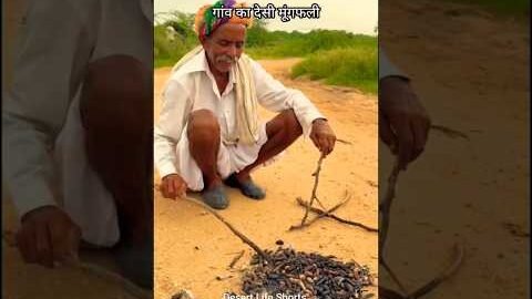 बारिश और देसी मूंगफली 😍 #rajasthan #villagelife #desi #food #youtubeshorts #viral #shortvideo