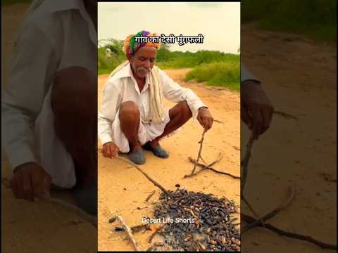बारिश और देसी मूंगफली 😍 #rajasthan #villagelife #desi #food #youtubeshorts #viral #shortvideo