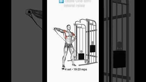 ” chest, triceps N shoulder workout ” #gym #fitness #shorts