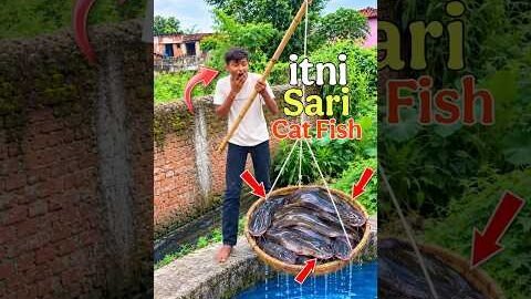 10 din bad desi jugaad Se pakdi Badi machhali 😱🐟 mini vlog #fishing #minivlog #shorts #foryou #viral