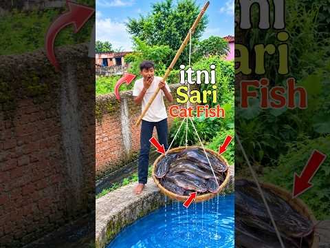 10 din bad desi jugaad Se pakdi Badi machhali 😱🐟 mini vlog #fishing #minivlog #shorts #foryou #viral