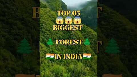 TOP 5 😱 BIGGEST 🌲FOREST🌲 IN INDIA🇮🇳..#viral #trending #amazing #facts #forest#reels #foryou