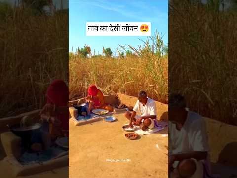 गांव का देसी जीवन 😍 #gaon #village #desi #life #rajasthan #short #youtubeshorts
