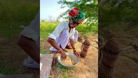 देसी घी और गुड़ के मीठे मालपुआ 🥰#desi #culture #ganvkilifestyle #food #sweet #youtubeshorts
