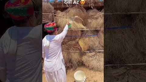 देसी Ac झोपड़ी में 😍 #rajasthan #desi #desiac #village #villagelife #shorts