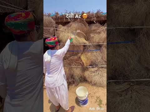 देसी Ac झोपड़ी में 😍 #rajasthan #desi #desiac #village #villagelife #shorts