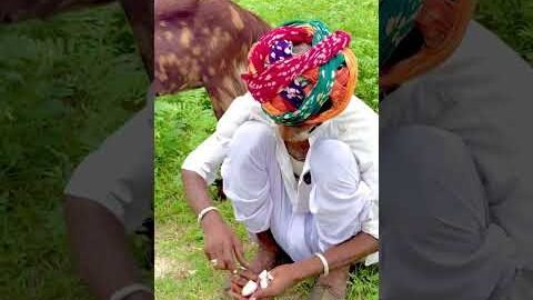 देसी ककोड़ा की स्वादिष्ट सब्जी रेसिपी 🥰 #youtubeshorts #viral #sabjirecipe #desi #rajsthan