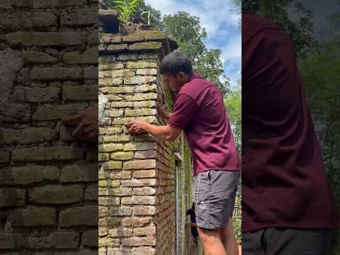 Desi gym convert to luxury Desi gym day..3🏃#gym #shorts #youtubeshorts ￼