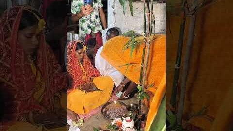 Sadi vivah gita 🎤🎶#papa #beti #gita #desi