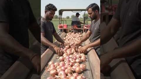 kisan #viral #trending #trendingshorts #shortvideo #reels #viralvideo #desi #video #kisan #farming
