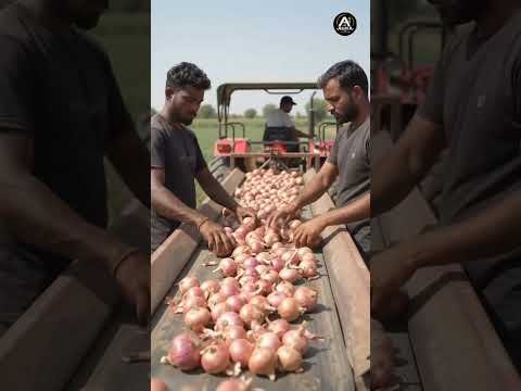 kisan #viral #trending #trendingshorts #shortvideo #reels #viralvideo #desi #video #kisan #farming