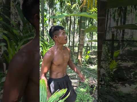 Desi Boy With Desi Protein 💪🏾🔥 #viralvideo #food #villagerlifestyle #youtubeshorts