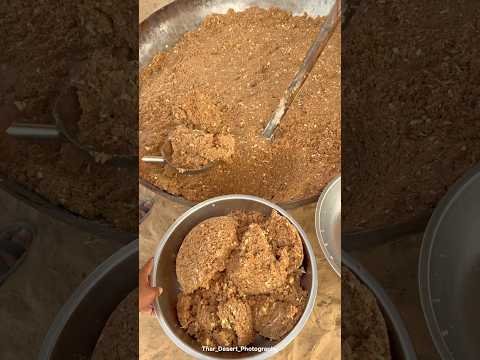 राजस्थान के गॉंव में कार्यक्रम का खाना😍 #khana #food #desi #villagelife