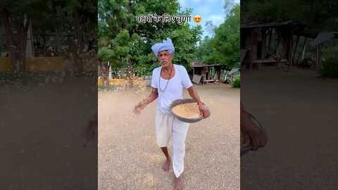पक्षियों के लिए चुग्गा 😍#ytshorts #rurallife #desi #culture #shorts #viral