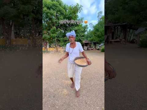 पक्षियों के लिए चुग्गा 😍#ytshorts #rurallife #desi #culture #shorts #viral