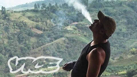 Kings of Cannabis | WEEDIQUETTE