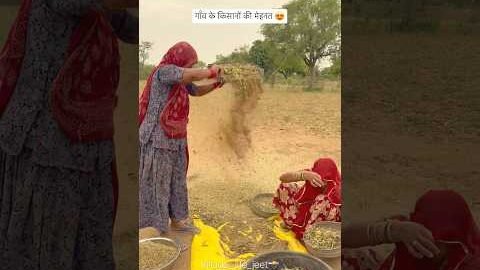 गाँव के किसानों की मेहनत 😍 #villagelife #desertlife #farming #rajasthaniclture #greenvillage #desi